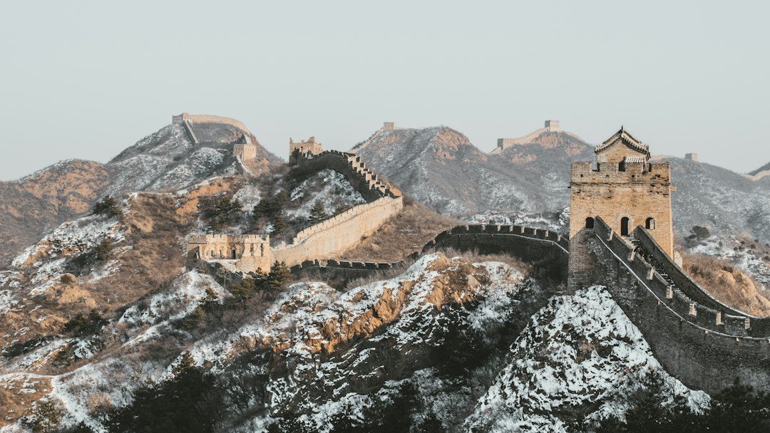 how to get a china visa in 2026 photo 2